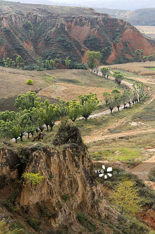黄土高原图片素材