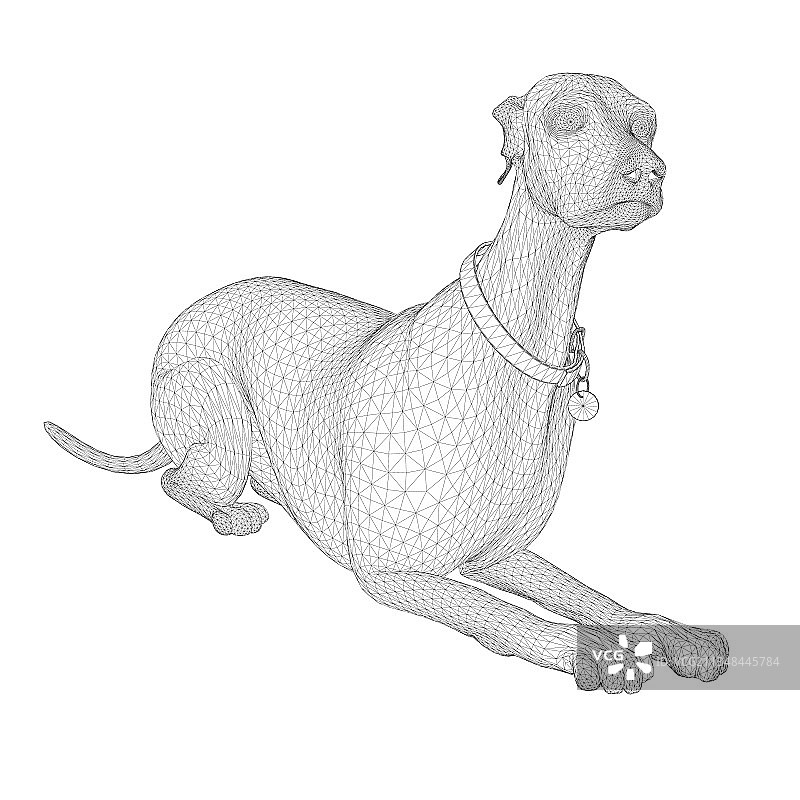 黑色线条勾勒的拉布拉多犬线框图图片素材
