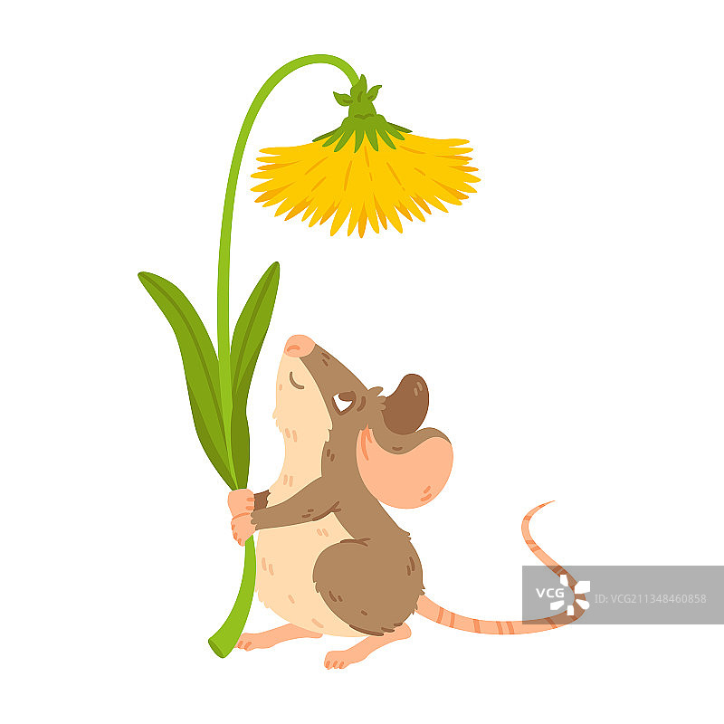 老鼠拿着蒲公英和花图片素材