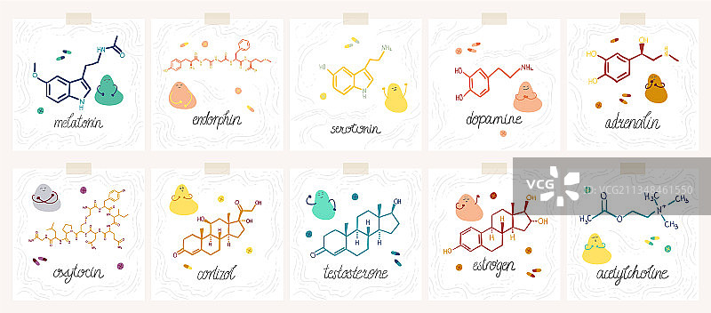 荷尔蒙图片素材