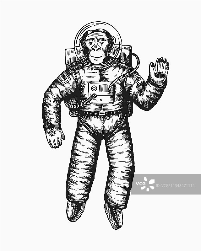 挥手的宇航员猴子图片素材