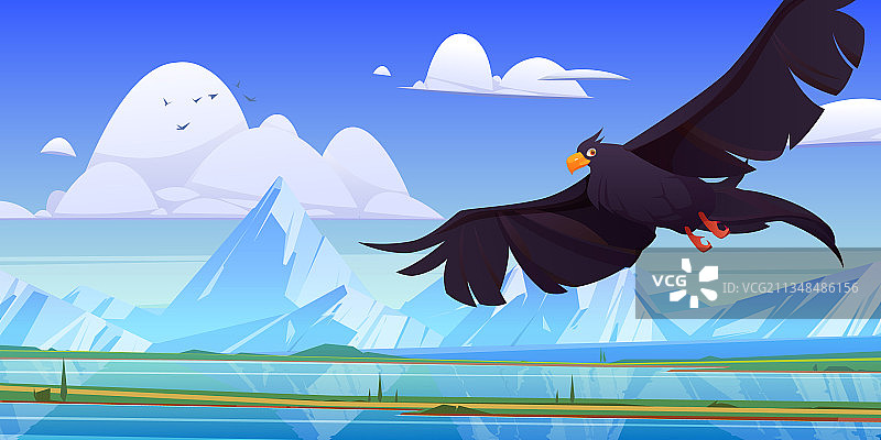展开翅膀的黑色猎鹰或老鹰图片素材