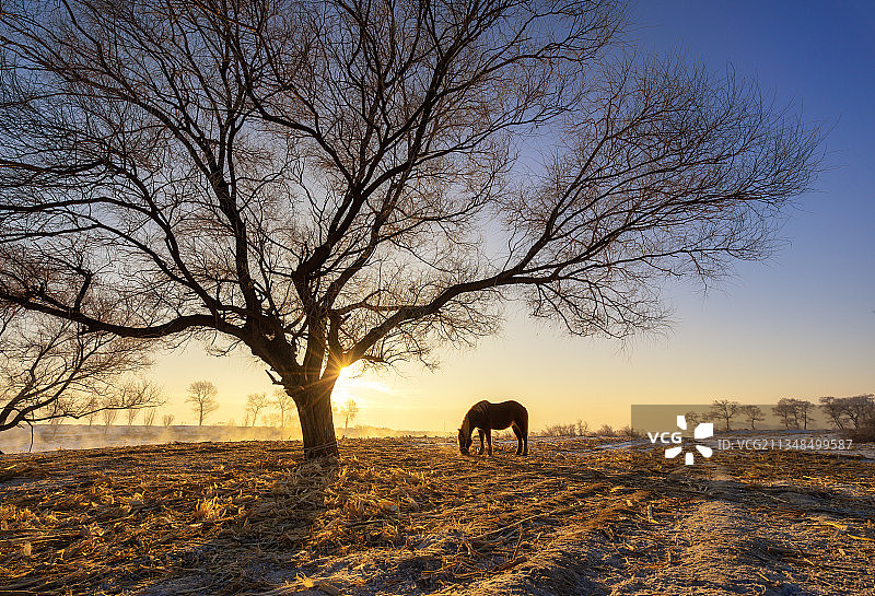 雾凇岛日出图片素材