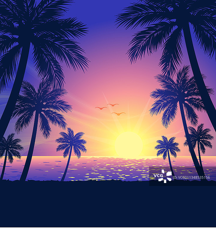 热带沙滩棕榈树日落图片素材