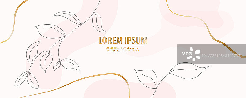 粉色调文本区域背景图片素材