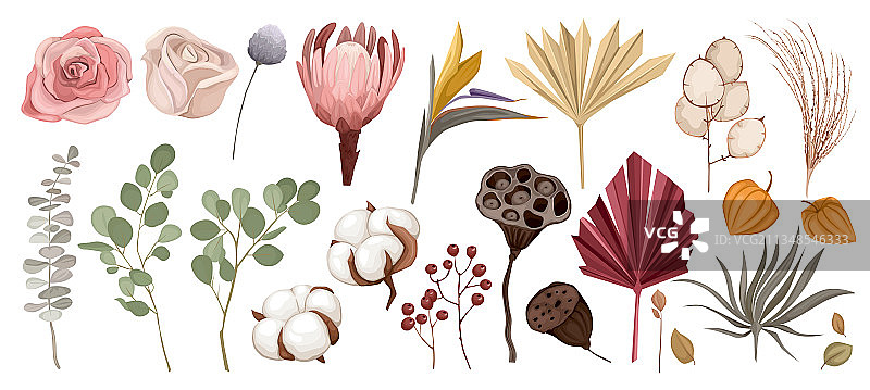 干花图标集图片素材