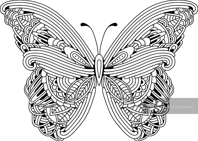 手绘Zentangle风格蝴蝶图片素材