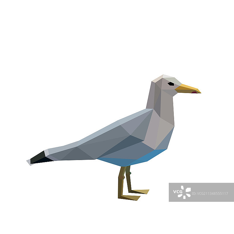 多边形海鸥艺术图像（低多边形）图片素材