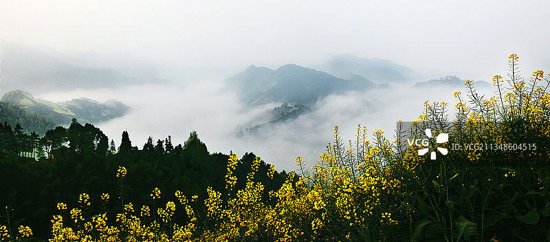 上海，崇明，美景博览，四季变幻图片素材
