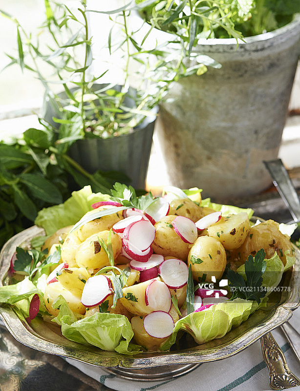 龙蒿欧芹酱土豆沙拉图片素材