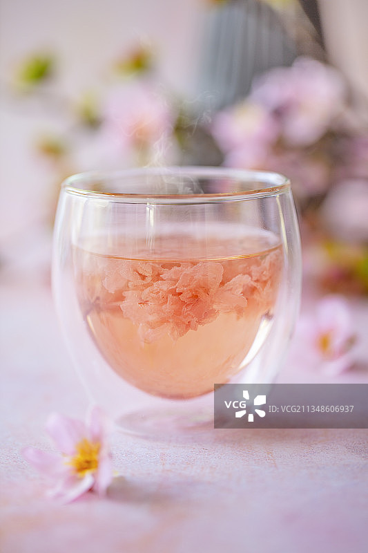 带樱花的日本石庭图片素材