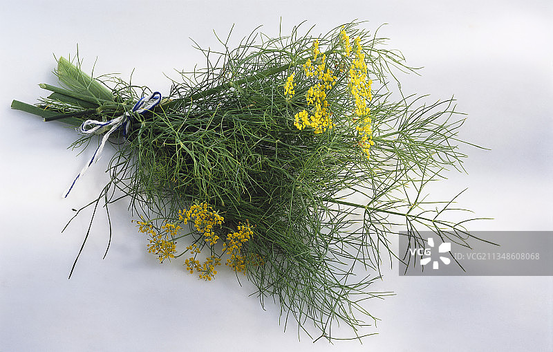 一束带花的茴香图片素材