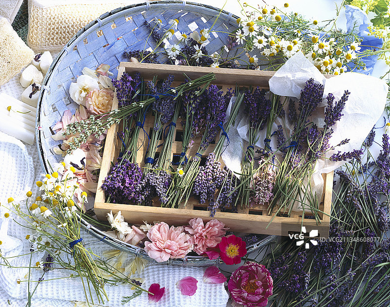 用于芳香疗法的香草和玫瑰图片素材