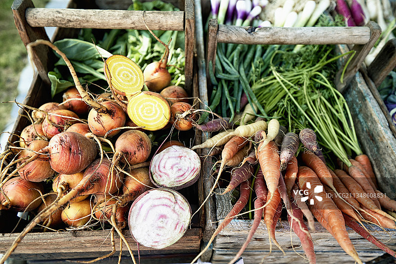 新鲜采摘的有机蔬菜图片素材