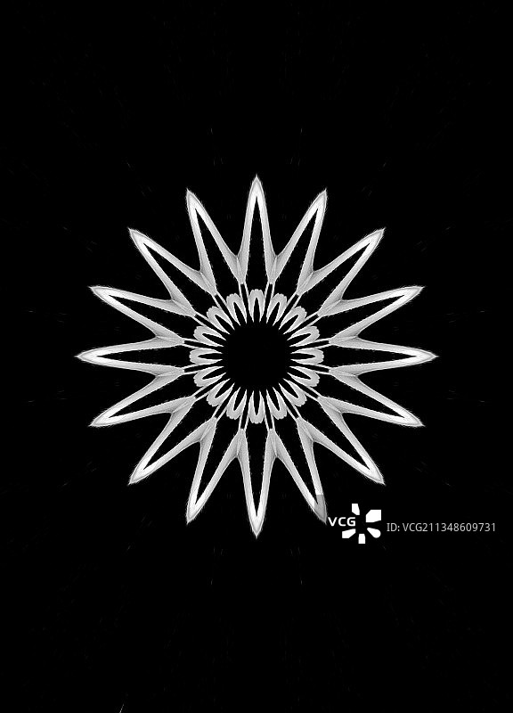 创意素莲花图片素材