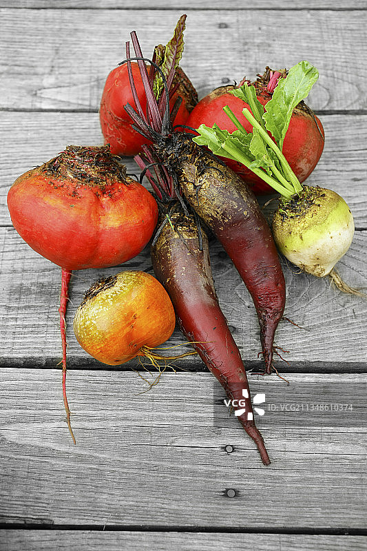 从花园运来的彩色蔬菜俯视图，红色甜菜根在旧灰色甲板上图片素材