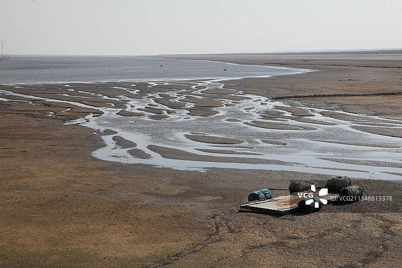 上海，崇明，东滩，白鹭，芦苇荡图片素材