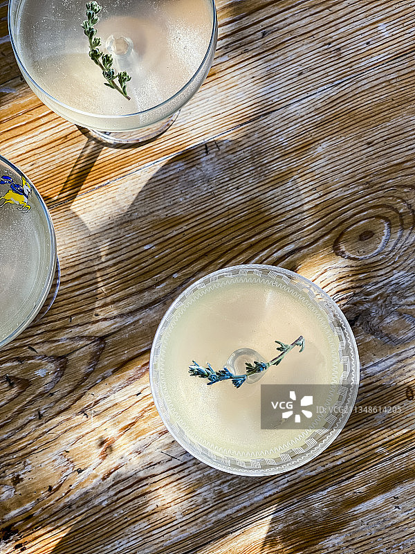 百里香马提尼图片素材