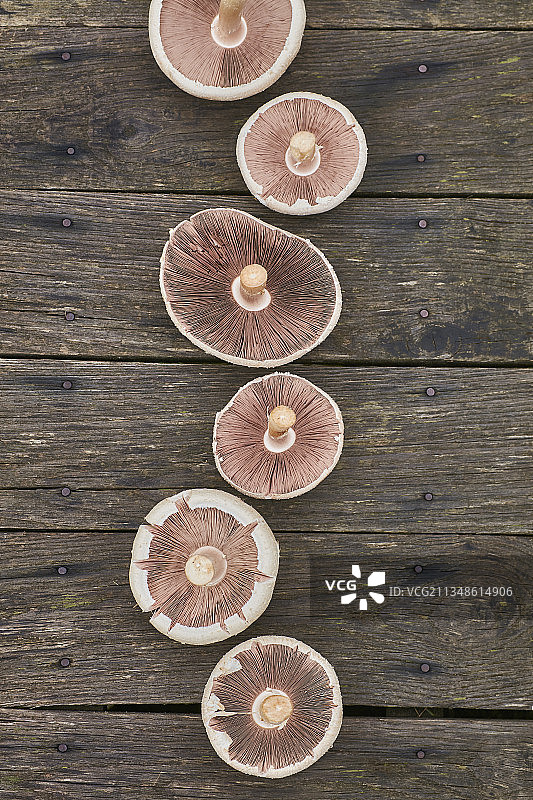 灰色木板上的六朵蘑菇图片素材