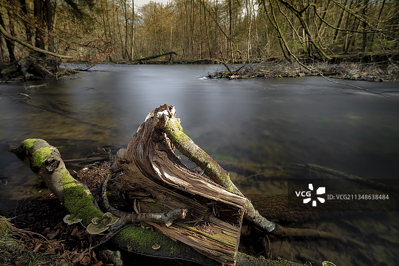 德国高廷维尔姆河长曝光，河中石根图片素材