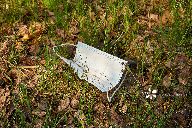波兰，田野中的口罩高角度视图图片素材