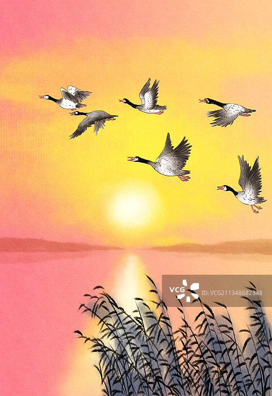 秋季傍晚大雁南飞风景插画图片素材