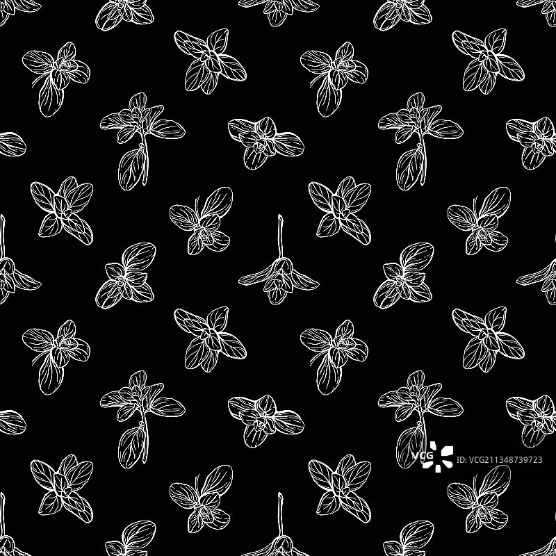 意大利香草罗勒无缝图案图片素材