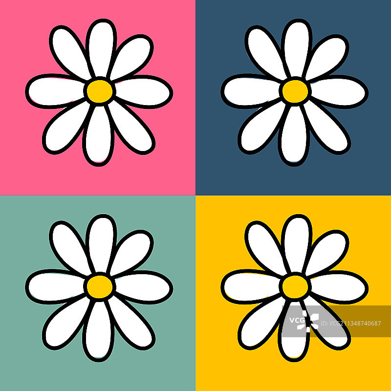 彩色背景上的白色雏菊图案图片素材