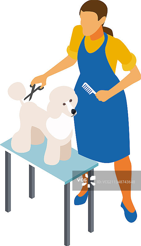 2.5D宠物美容等距构图图片素材