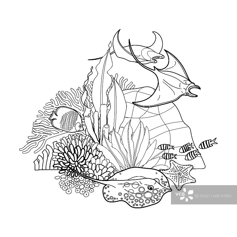 白色背景上的珊瑚礁图案图片素材