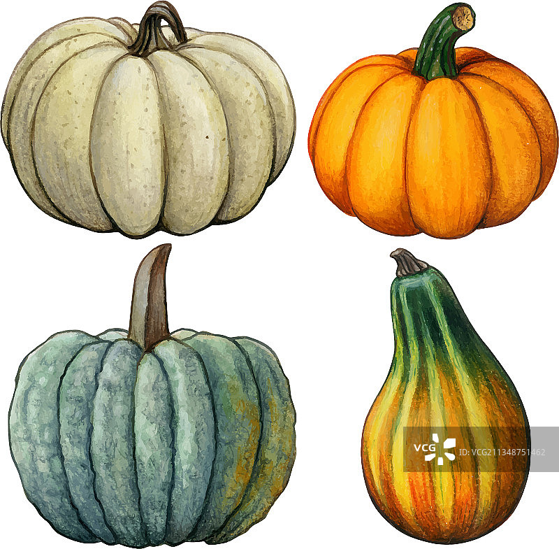 水彩手绘秋季南瓜组合图片素材