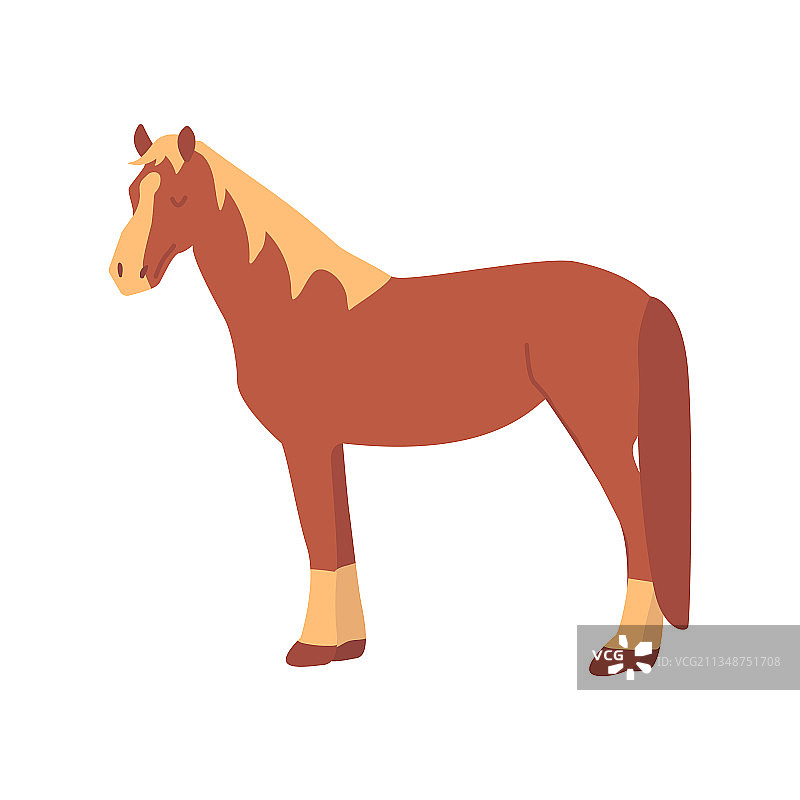 优雅的棕色食草马彩色隔离图片素材