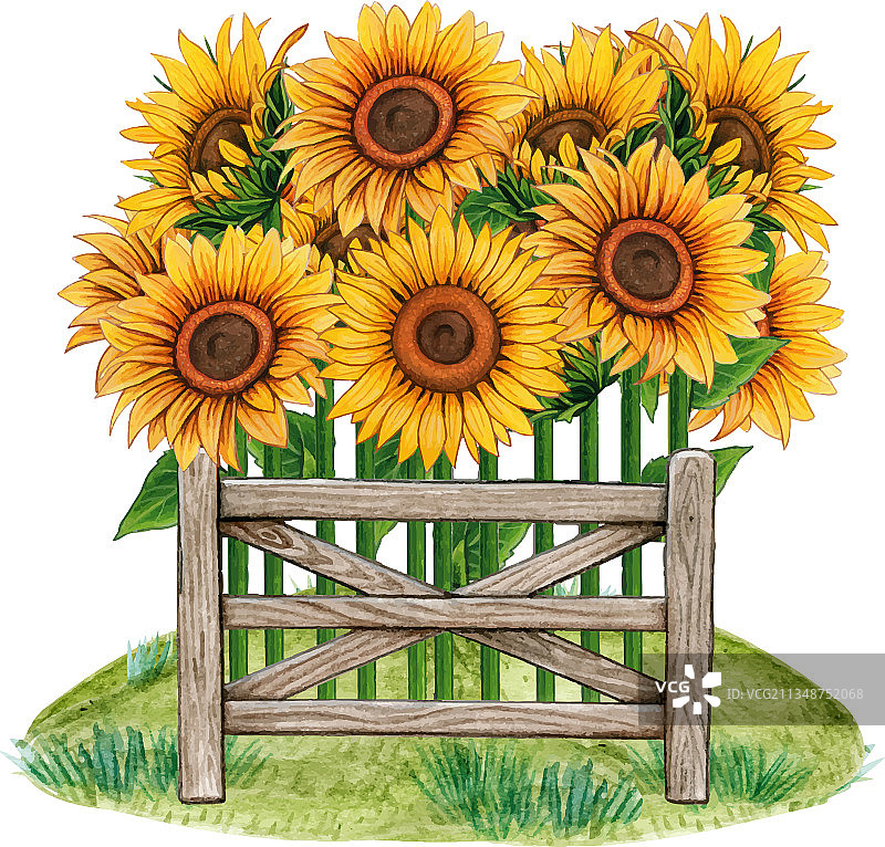 水彩向日葵乡村风装饰图片素材