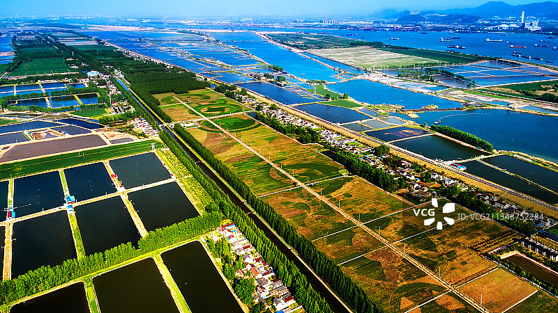 春绘龙袍图片素材