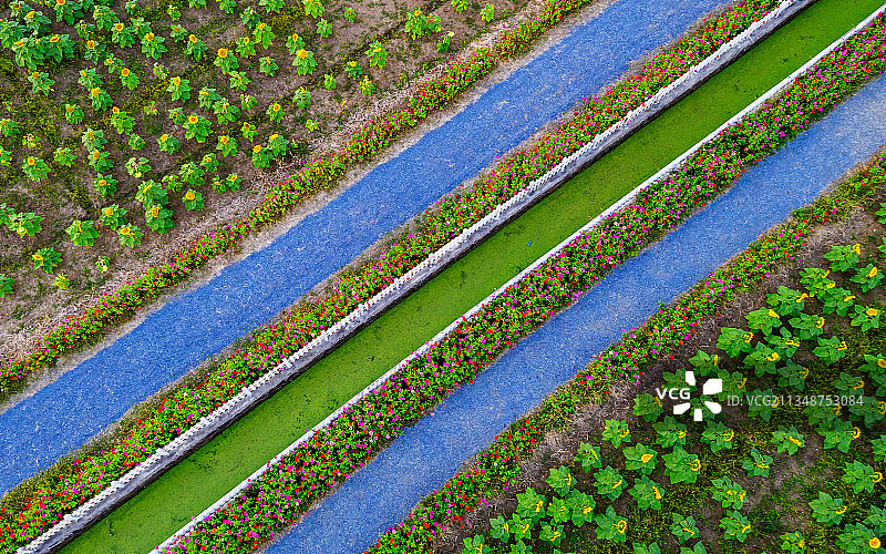 钱仓秋色图片素材