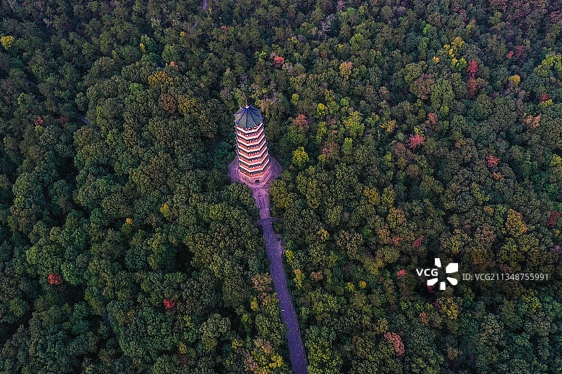 秋季南京钟山风景名胜区灵谷寺塔的风光图片素材