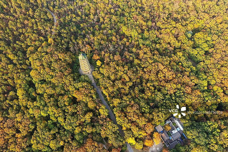 秋季南京灵谷寺景区的风光图片素材
