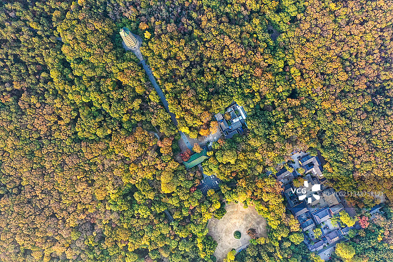 秋季南京灵谷寺景区的高视角航拍风光图片素材