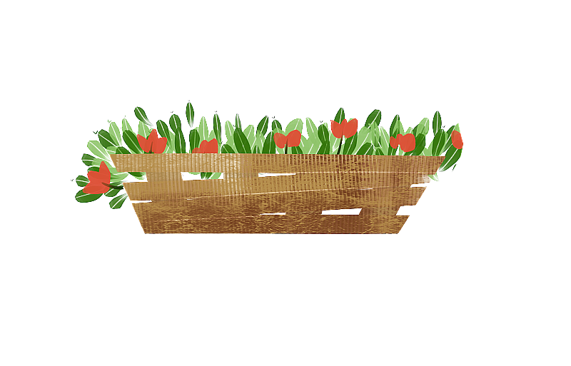 花铺花盆插画元素图片素材