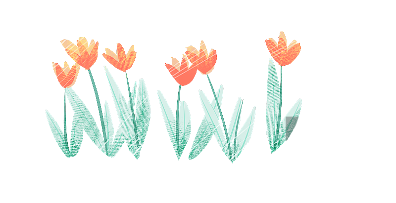 植物花朵插画元素图片素材