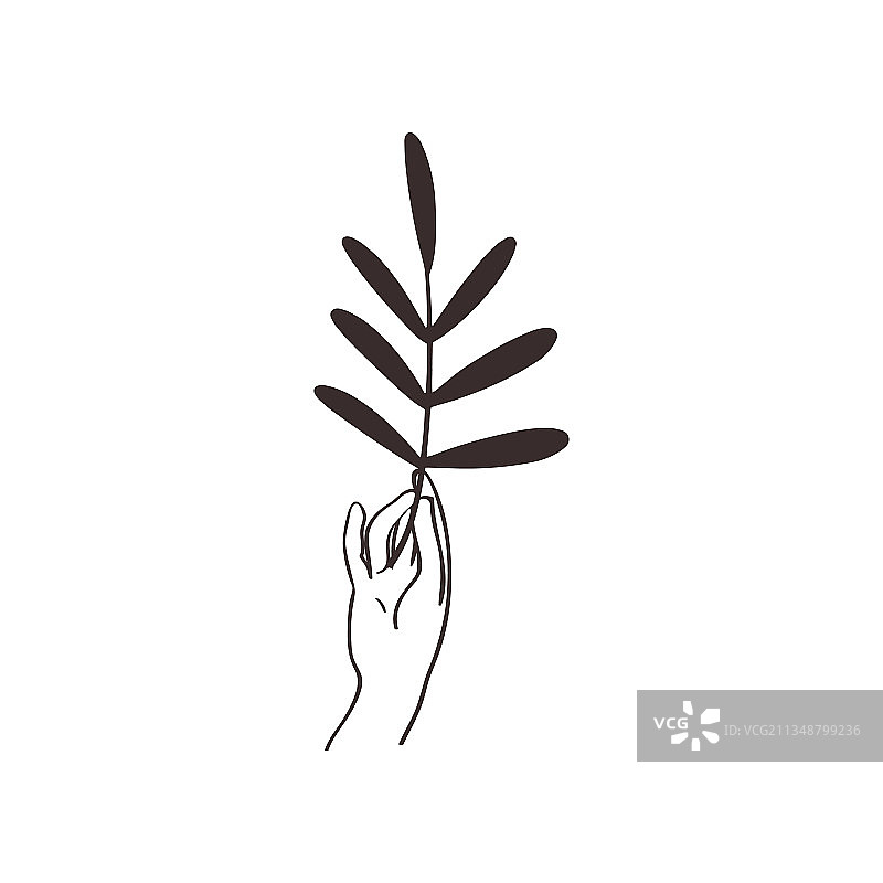 黑色手腕上的神圣美感预制Logo设计图片素材