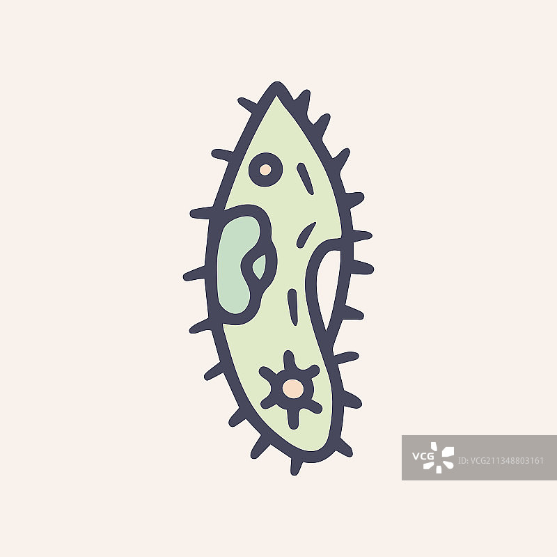 尾草履虫彩色涂鸦图标图片素材