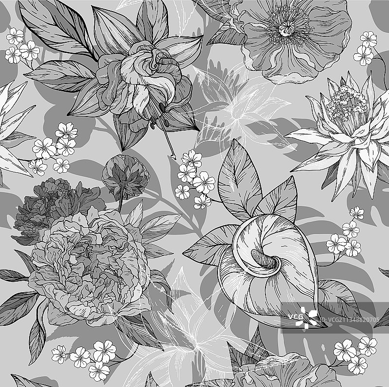 黑白单色手绘无缝图案图片素材