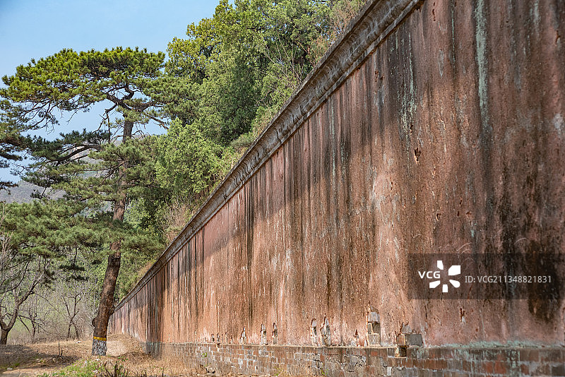 北京明十三陵永陵宫墙古松树图片素材