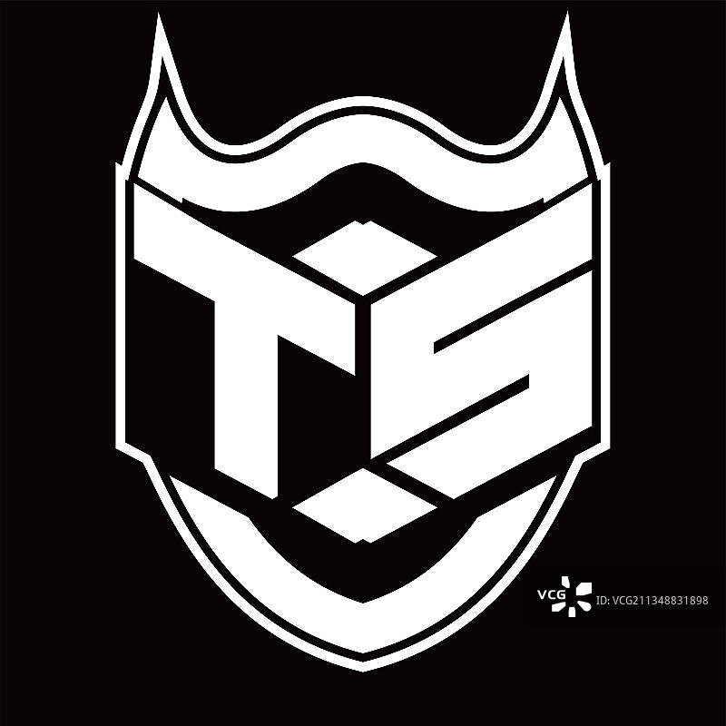 TS盾牌隔离花押字标志设计图片素材