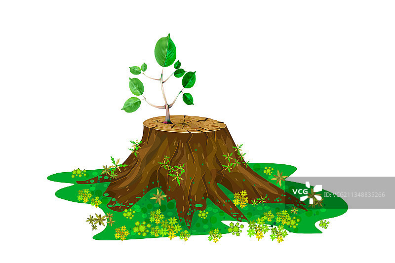 树桩上的嫩枝图片素材