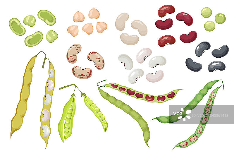 豆荚和种子绿豌豆图标套装图片素材