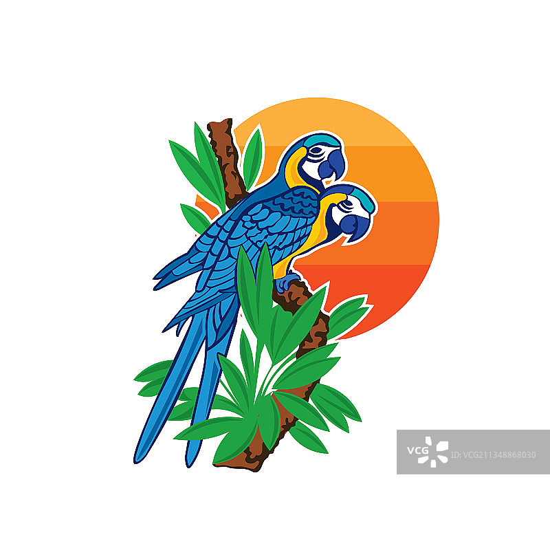 蓝色鹦鹉双胞胎Logo设计图片素材
