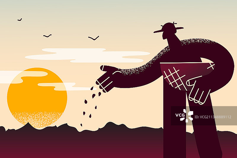 农业种植和生长概念图片素材