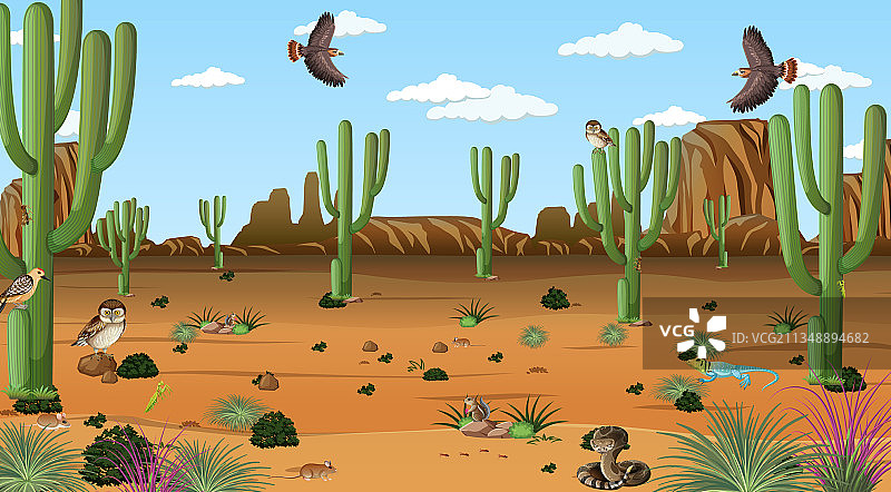 白天场景的沙漠森林景观图片素材